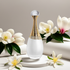 J'adore Parfum d'Eau