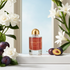 Casablanca Lily 2025