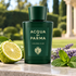 Acqua di Parma Colonia Club’s dark green bottle on sunlit stone beside a bergamot half, mint, and lavender, overlooking a manicured garden.