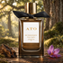 Burberry Antique Oak on aged oak beside oud wood and a purple saffron crocus, with softly lit woodland behind it.