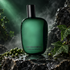 COMME des GARÇONS Amazingreen stands on wet dark stone beside green peppercorns and ivy, lit by emerald light against a misty background.