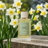 Narcissus Poeticus