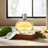 Barenia Intense