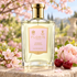 Floris Cherry Blossom on sunlit stone beside pink cherry blossoms, ripe cherries, and a peony, with a softly blurred spring garden behind it.