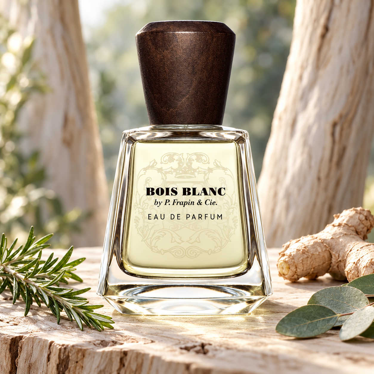 Bois Blanc
