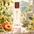 Hermès Osmanthe Yunnan perfume bottle surrounded by golden osmanthus blossoms, fresh apricots, and a celadon cup of tea on sunlit pale stone.
