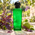 Hermès Eau de Basilic Pourpre green bottle with purple basil and a whole green bergamot on sunlit garden stone.
