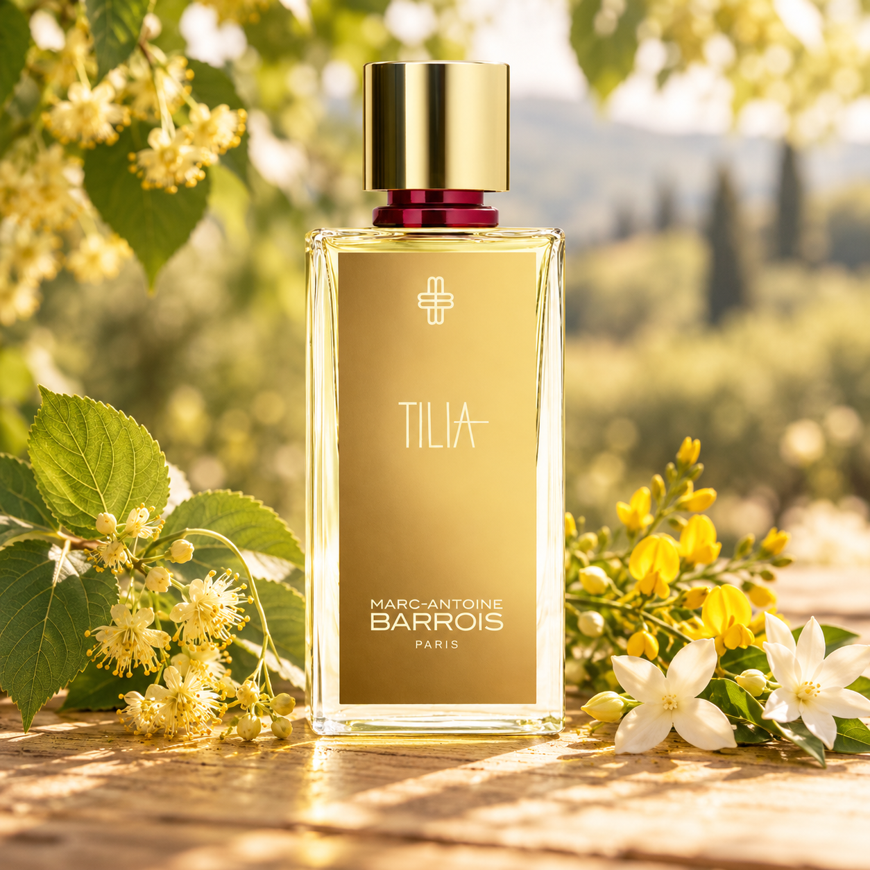 Marc-Antoine Barrois Tilia perfume on a wooden table beside linden blossoms, yellow broom, and white jasmine in golden sunlight.