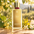 Marc-Antoine Barrois Tilia perfume on a wooden table beside linden blossoms, yellow broom, and white jasmine in golden sunlight.
