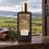 Memo Paris Irish Leather on weathered stable wood with leather and juniper berries, overlooking a green Irish landscape under gray skies.