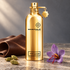 Montale Aoud Leather’s gold bottle beside folded brown leather, cardamom pods, and a purple saffron crocus on softly lit stone.