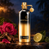 Montale Aoud Night’s black-and-gold bottle beside a deep pink rose, oud wood, and bergamot on dark stone in warm evening light.