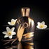 Velour Noir - ScentsGift