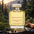 Ormonde Jayne Ormonde Man Parfum with juniper berries and cedarwood on slate before a softly lit conifer forest.