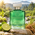 Ormonde Jayne Vetiveria green bottle beside lime and vetiver roots on a sunlit stone with a lush landscape.