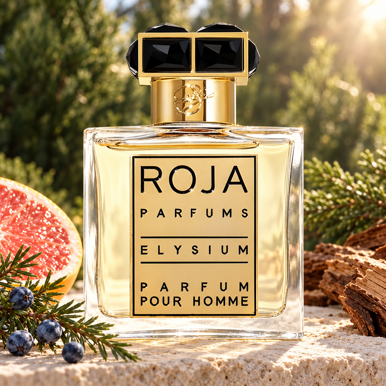 Roja Elysium Pour Homme Parfum with grapefruit, juniper berries and cedar wood on pale stone in warm sunlight.