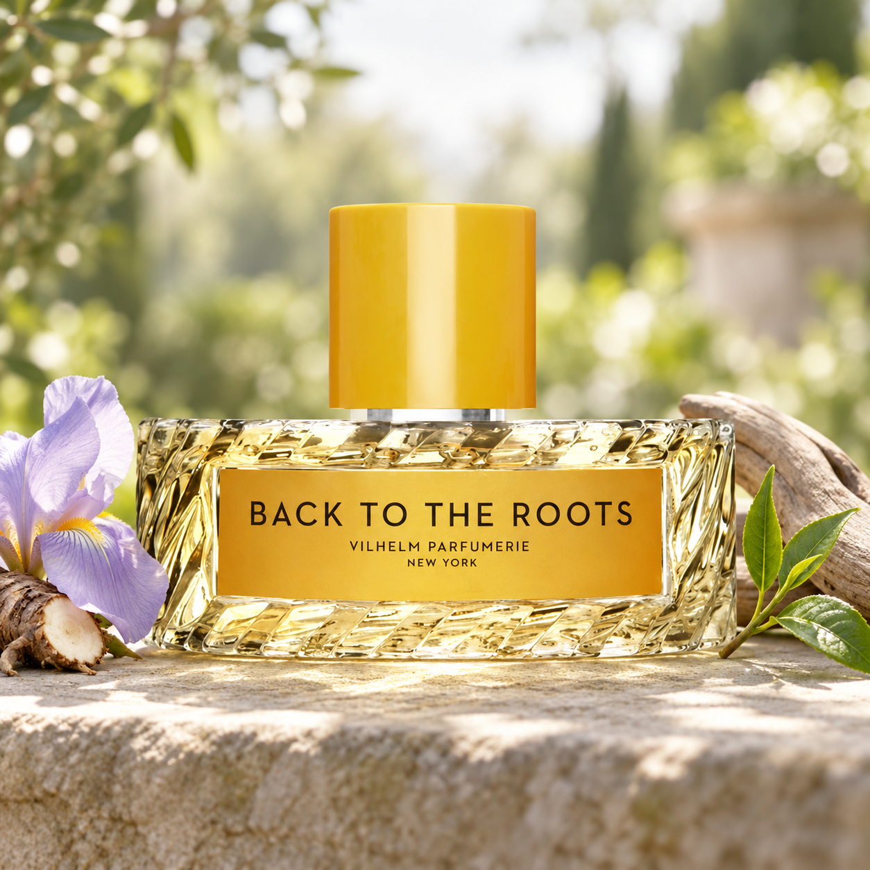 Vilhelm Parfumerie Back to the Roots on pale stone beside iris, orris root, fresh tea leaves, and driftwood in a softly lit garden.