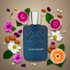 Layton Exclusif