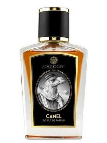 Camel - ScentsGift
