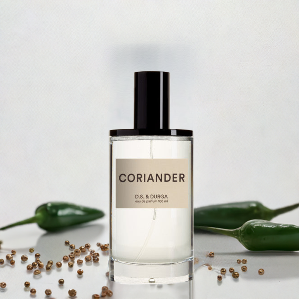 Coriander