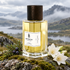 Botanicae Highlands on mossy stone with juniper and white flowers overlooking misty Scottish hills.