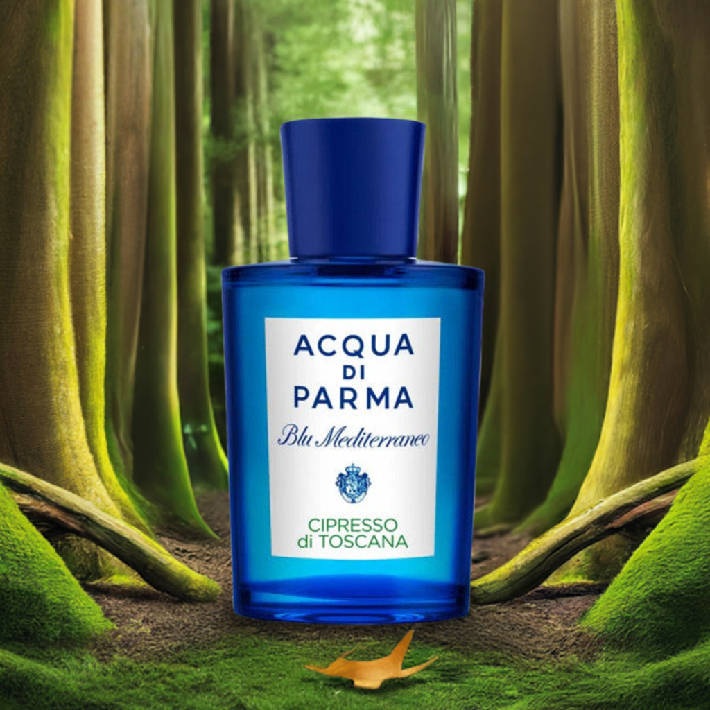 Cipresso di Toscana