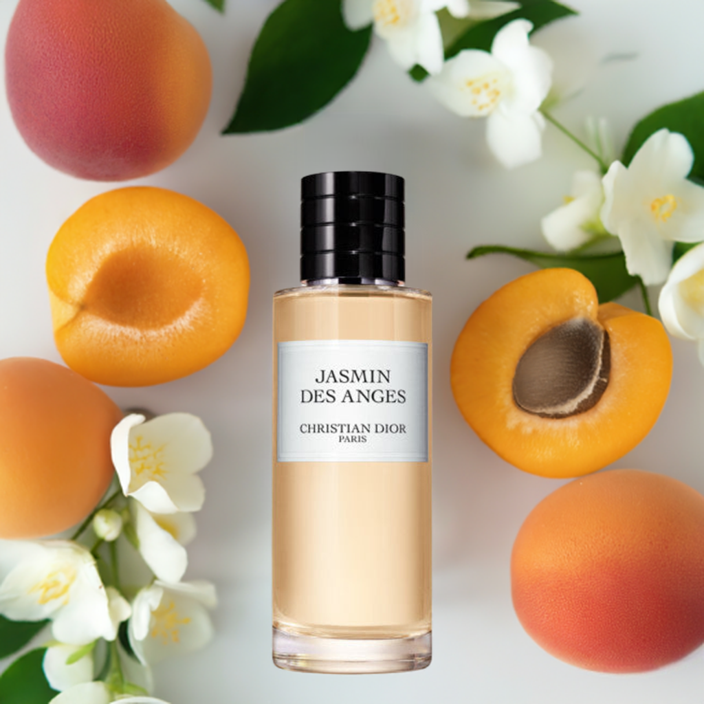 Jasmin Des Anges
