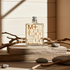 Molecule 01 + Guaiac Wood - ScentsGift