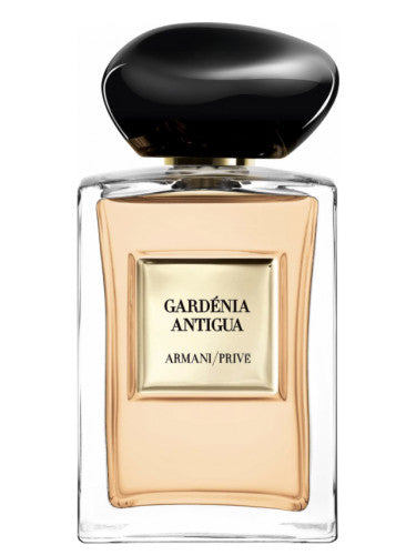 Gardenia Antigua - ScentsGift