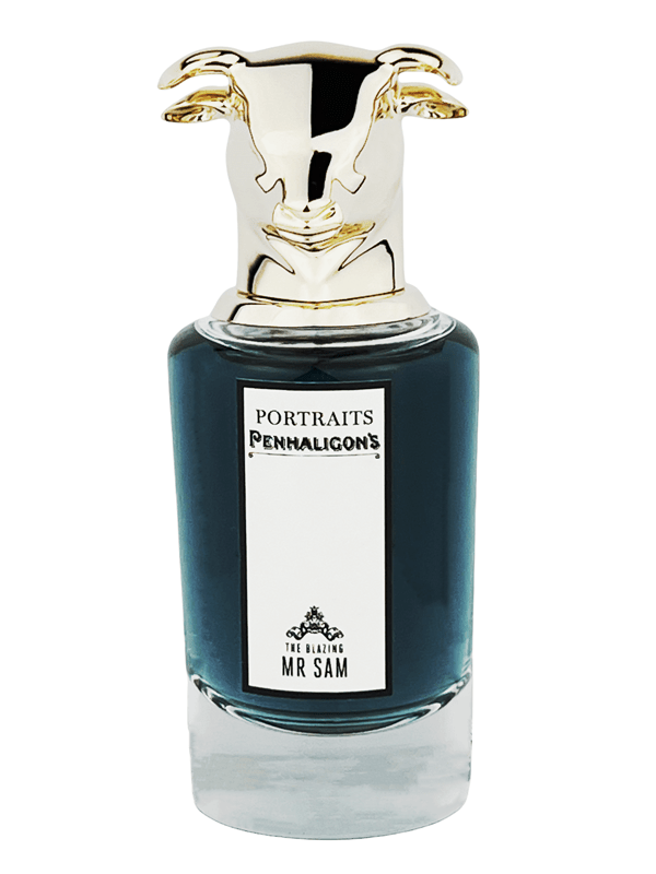 Blazing mr sam sales